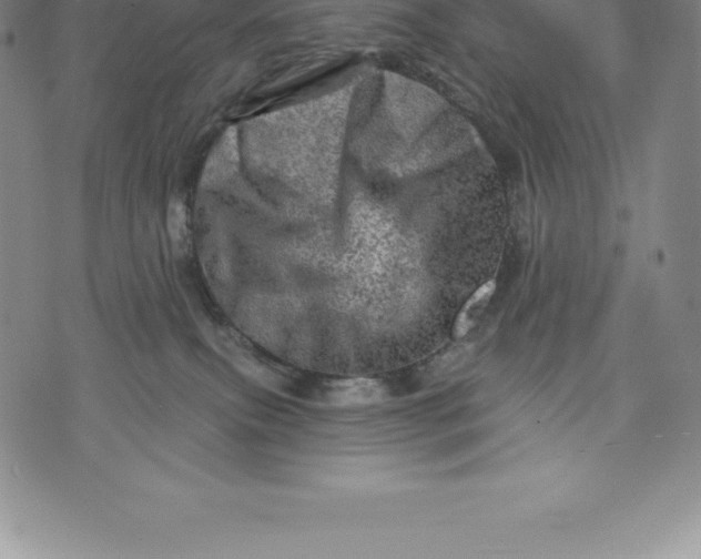 X0000076300087200610161604