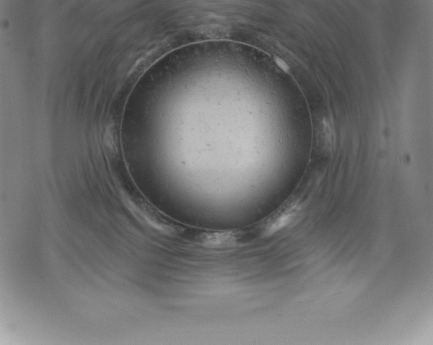 X0000076300088200610161604