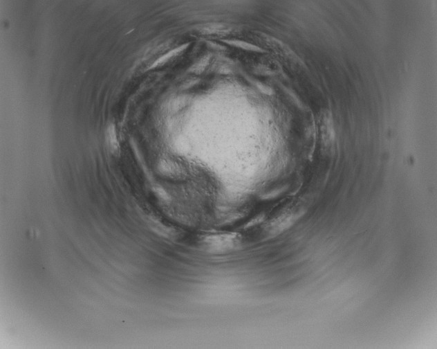 X0000076300089200610161604