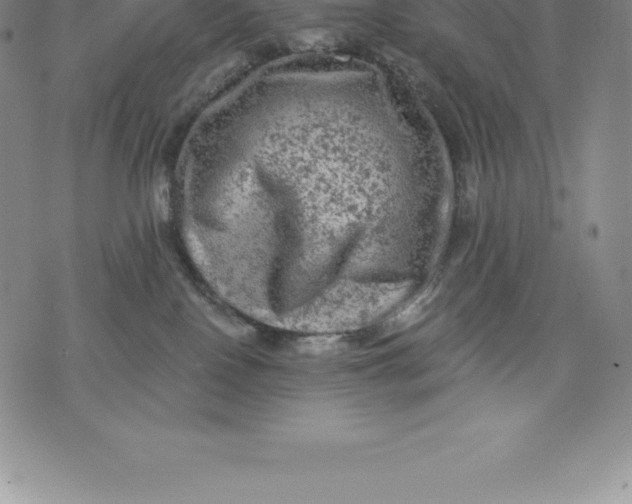 X0000076300090200610161604