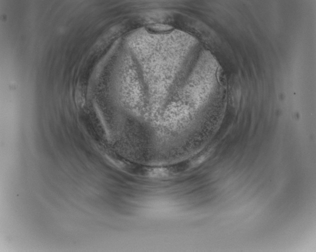 X0000076300091200610161604