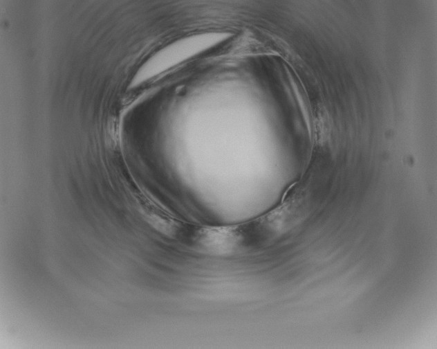 X0000076300093200610161604