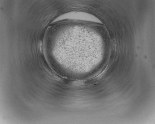 X0000076300094200610161604