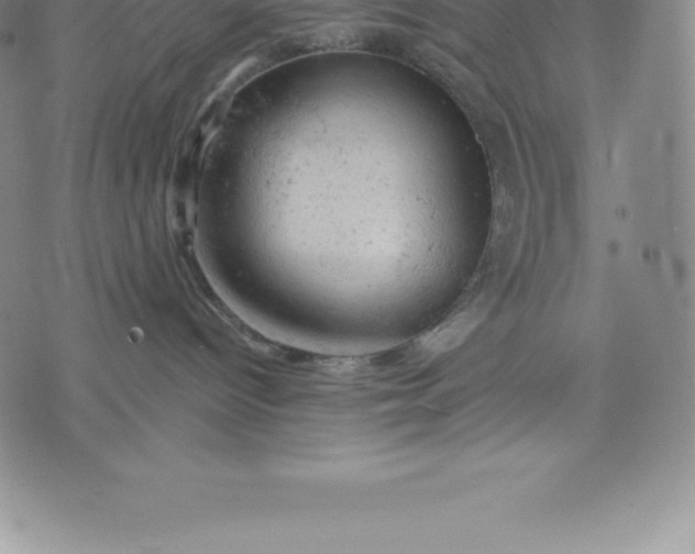 X0000076300096200610161604