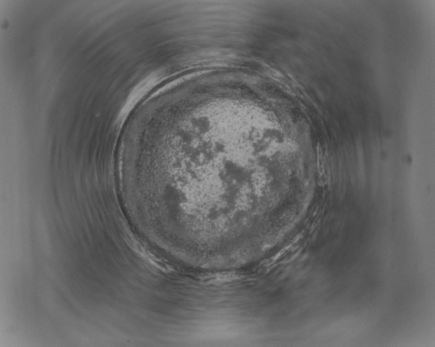 X0000076300099200610161604