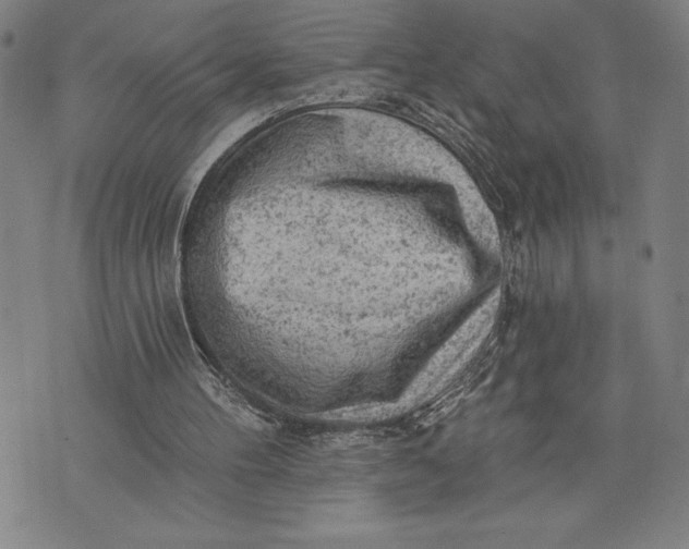 X0000076300100200610161603