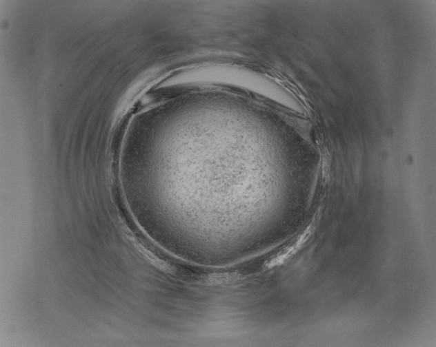 X0000076300101200610161603