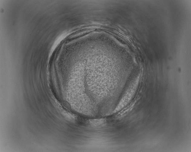 X0000076300102200610161603