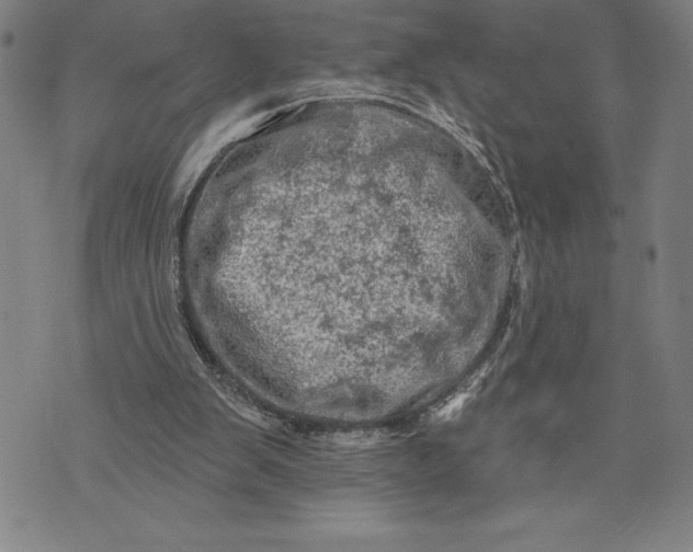 X0000076300103200610161603