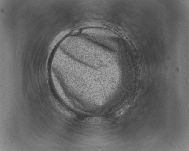 X0000076300104200610161603