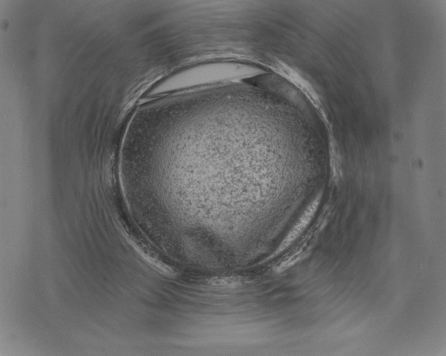 X0000076300105200610161603