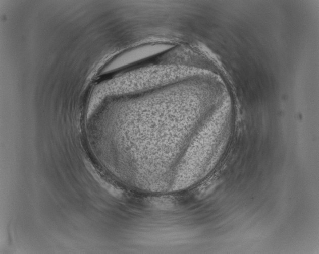 X0000076300106200610161603