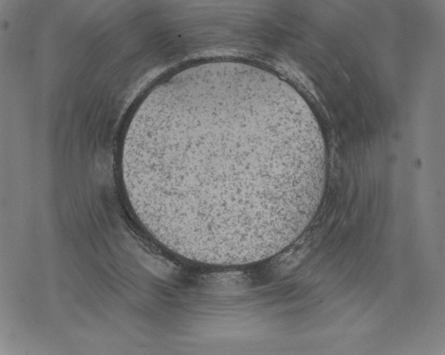 X0000076300108200610161603