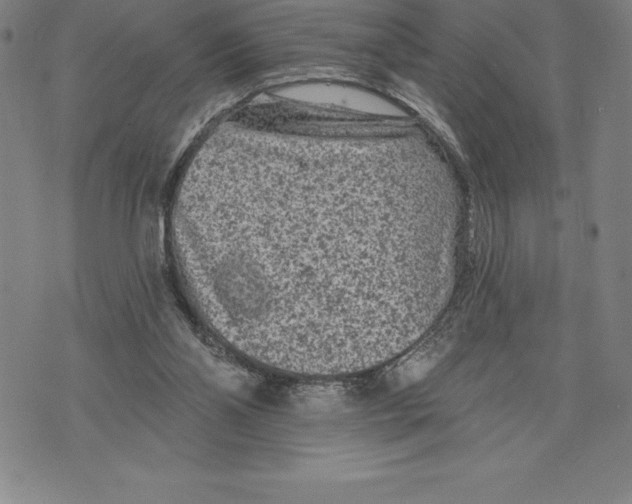 X0000076300110200610161603