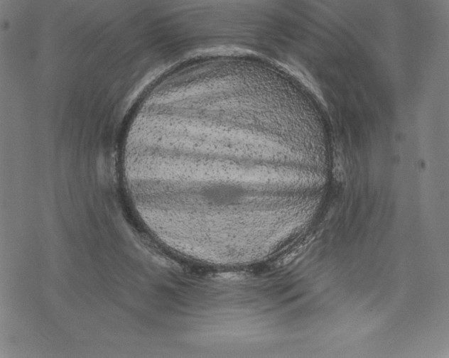 X0000076300111200610161603