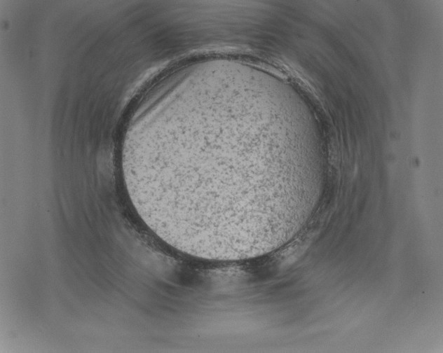 X0000076300112200610161603