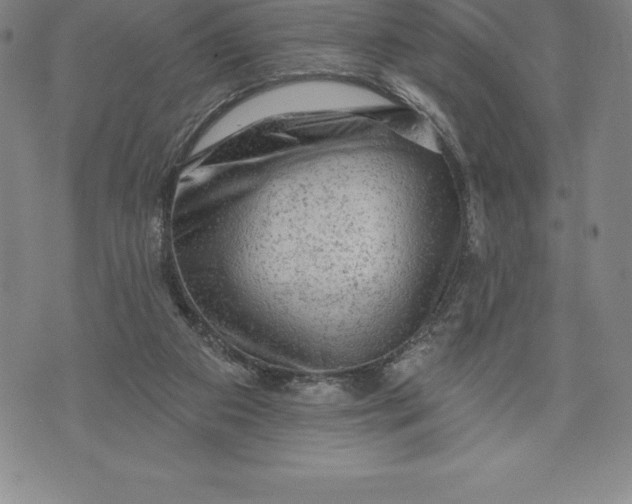 X0000076300113200610161603