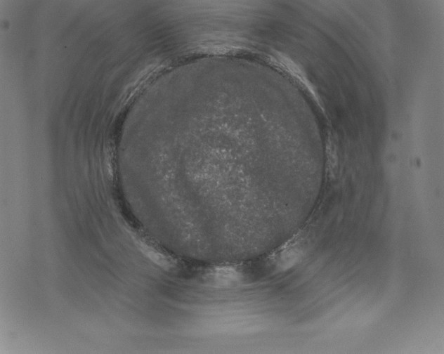 X0000076300114200610161603