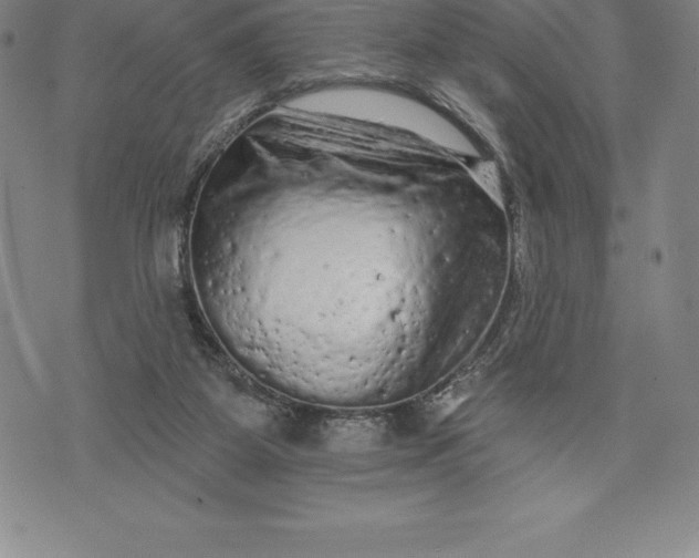 X0000076300115200610161603