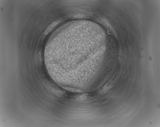 X0000076300116200610161603