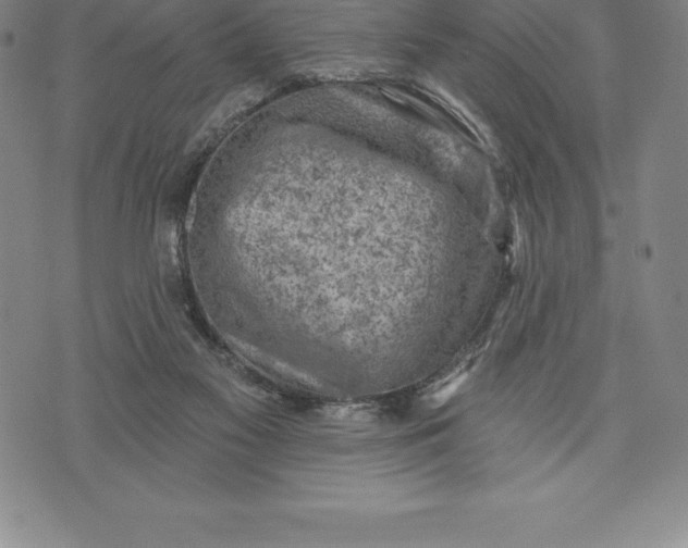 X0000076300117200610161603