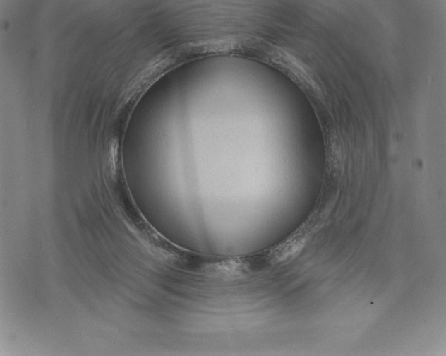 X0000076300118200610161603