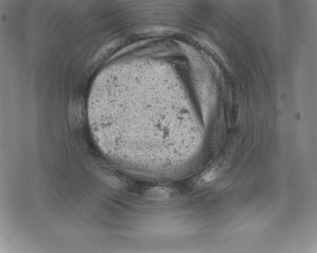 X0000076300119200610161603