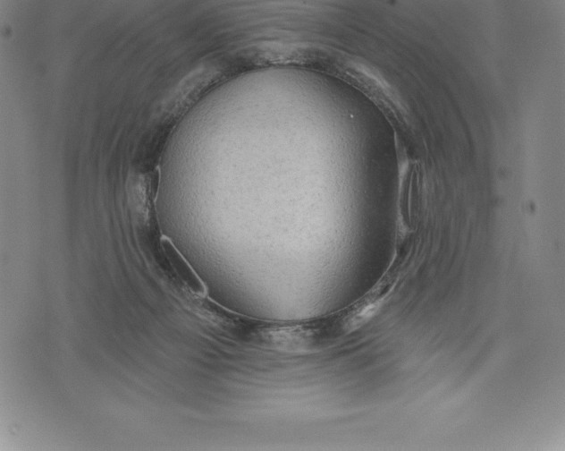 X0000076300121200610161603