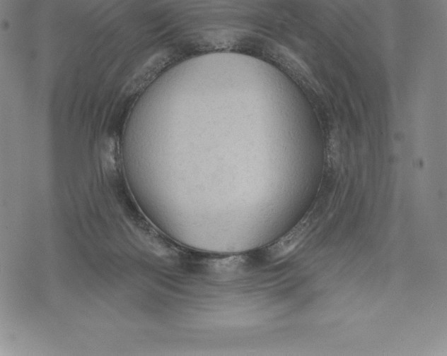 X0000076300122200610161603