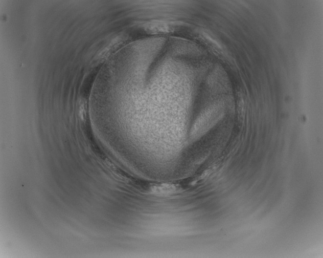 X0000076300125200610161603