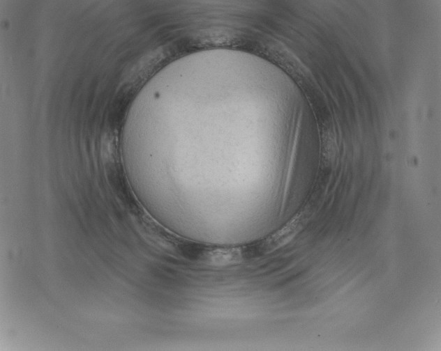 X0000076300126200610161603