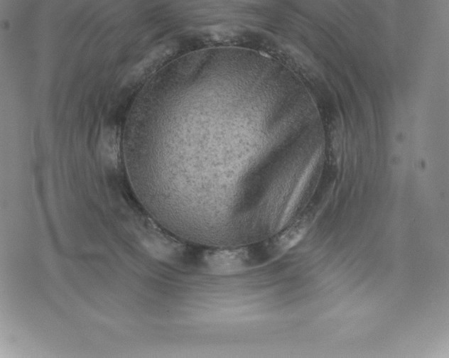 X0000076300129200610161603