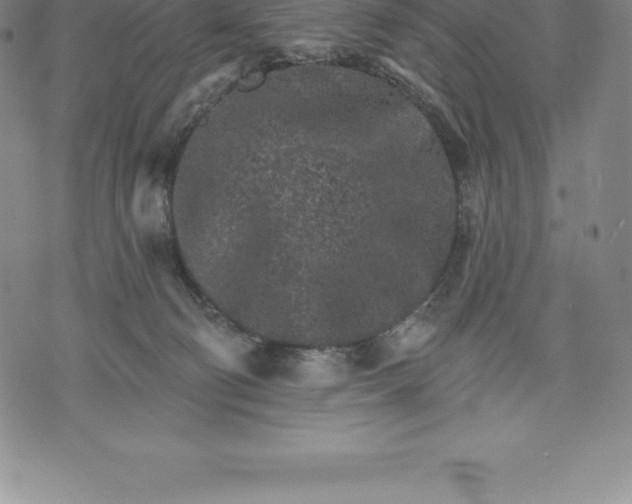 X0000076300130200610161603