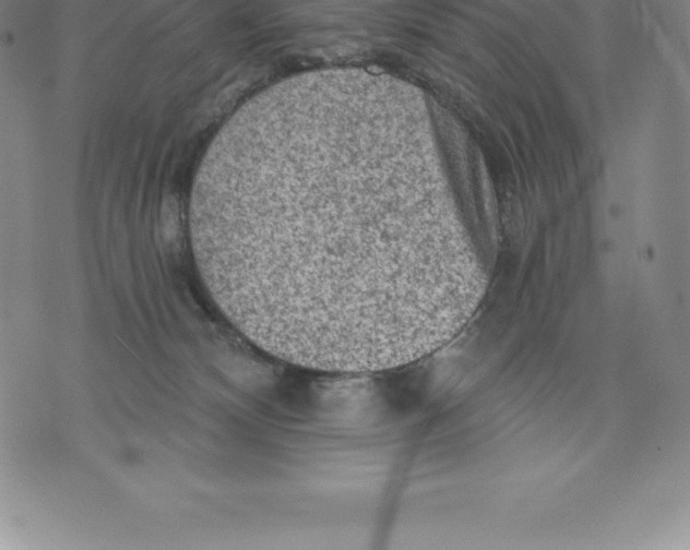 X0000076300132200610161603