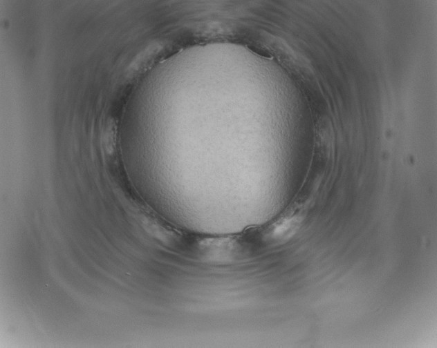 X0000076300133200610161603