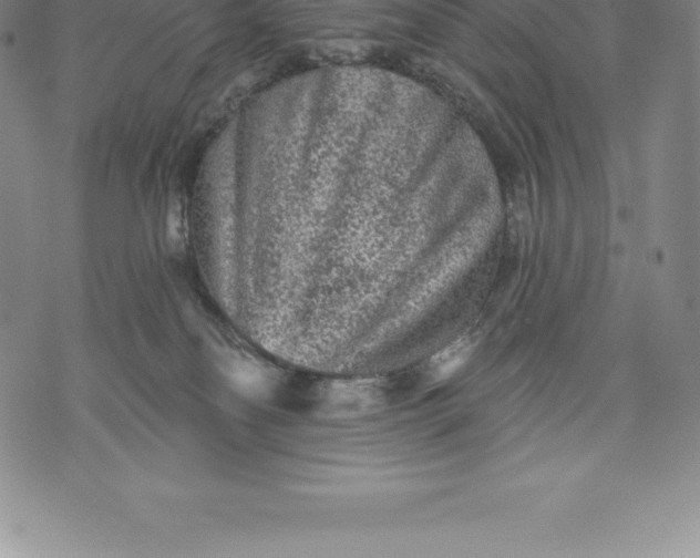 X0000076300134200610161603