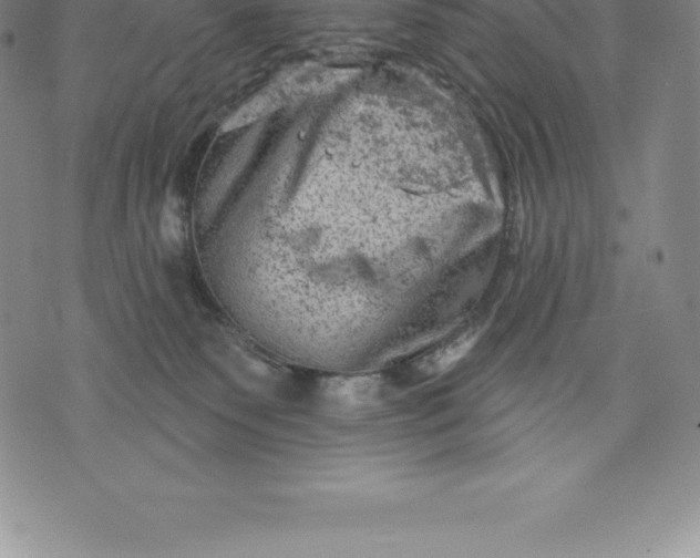 X0000076300135200610161603