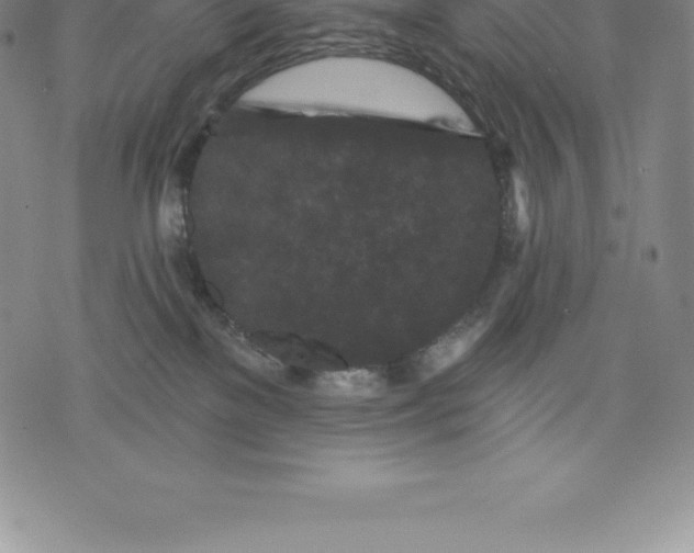 X0000076300137200610161603