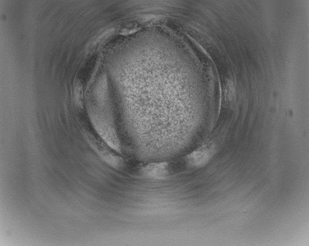 X0000076300138200610161603