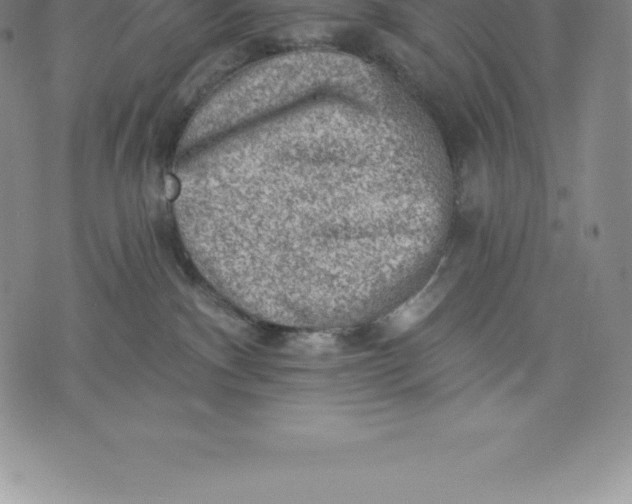 X0000076300140200610161603