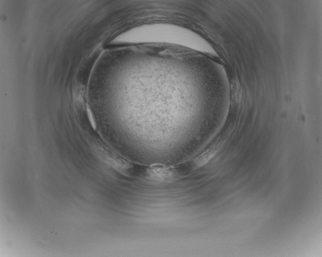 X0000076300141200610161603