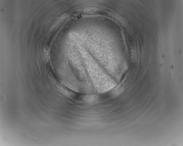 X0000076300142200610161603