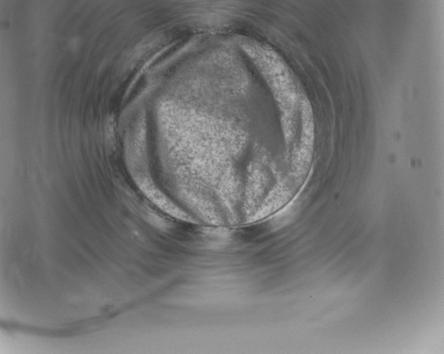 X0000076300144200610161603