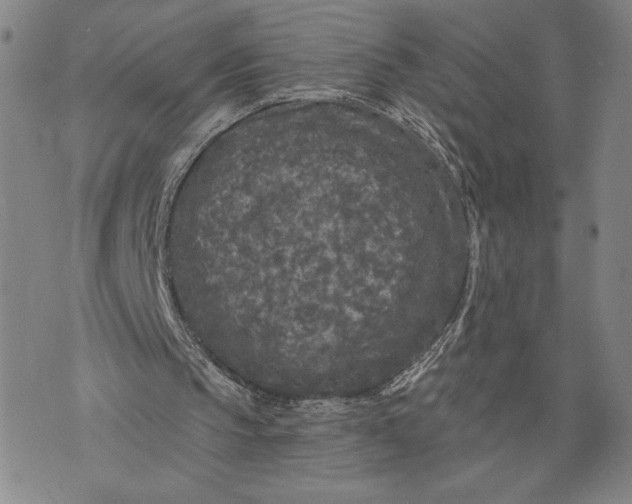 X0000076300145200610161602