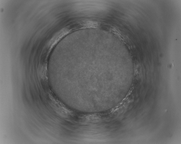 X0000076300146200610161602