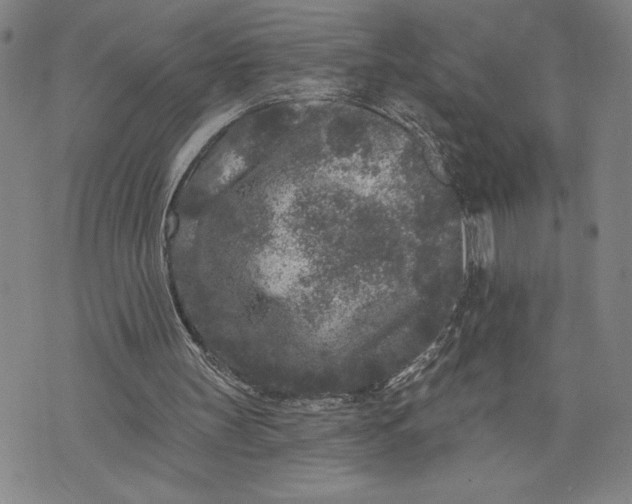 X0000076300147200610161602