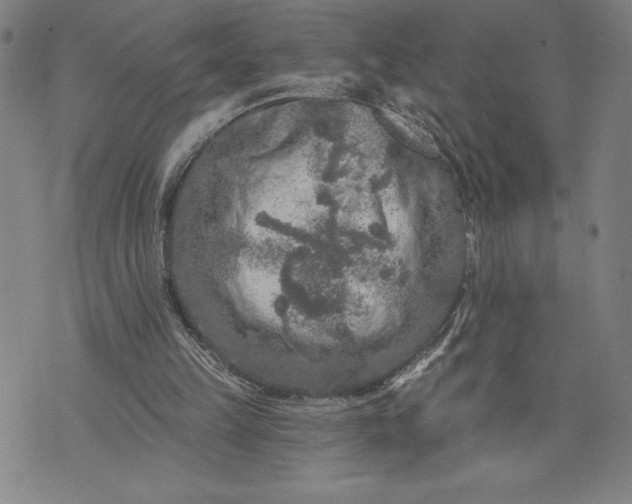 X0000076300149200610161602