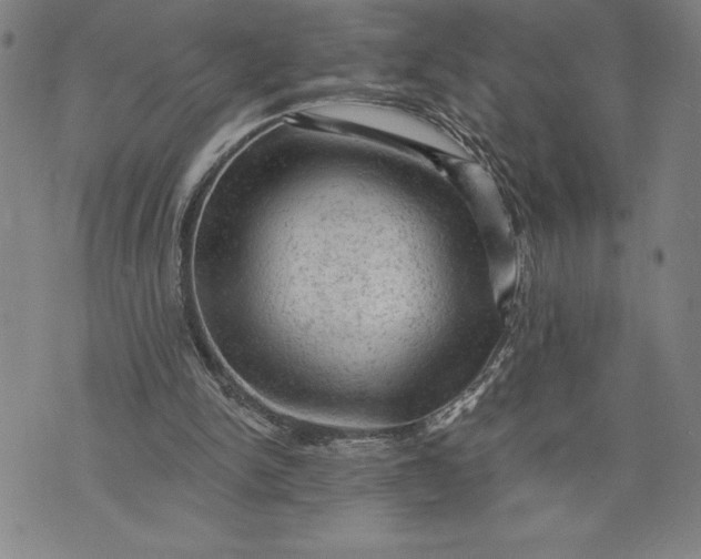 X0000076300150200610161602