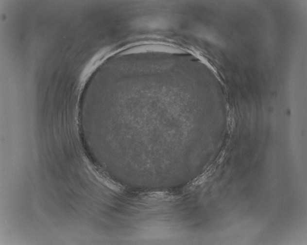 X0000076300151200610161602