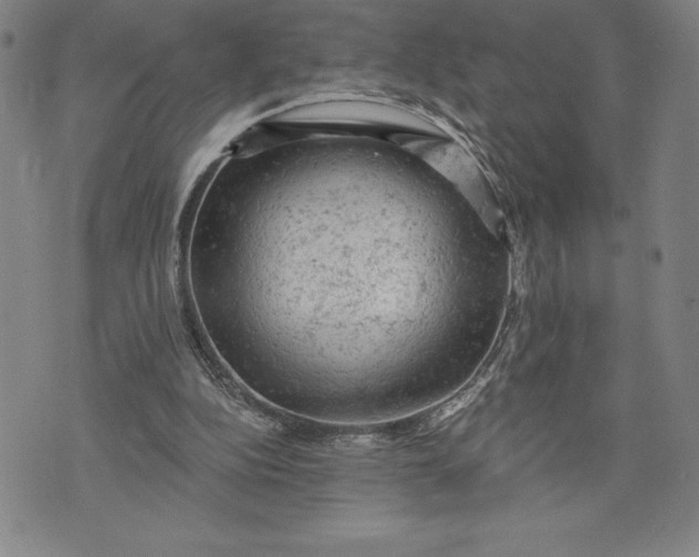 X0000076300152200610161602